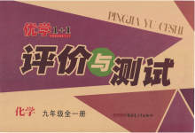 2023年优学1+1评价与测试九年级化学全一册人教版