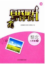 自我提升与评价八年级语文人教版
