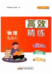 高效精练九年级物理苏科版