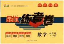 2023年品优练考卷六年级数学下册人教版