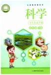 2026年学生活动手册湖南科学技术出版社四年级下册湘科版