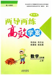 新课标两导两练高效学案五年级数学人教版