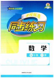 课程标准同步练习九年级数学湘教版