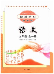 智慧学习九年级语文人教版