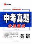 2025年中考真题分类集训英语