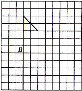 ��Ӣ�ҽ���