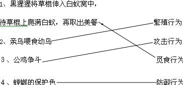 ��Ӣ�ҽ���