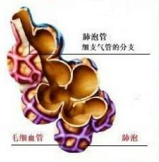 ��Ӣ�ҽ���