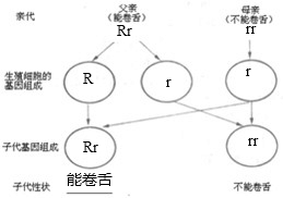 ��Ӣ�ҽ���