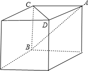 ��Ӣ�ҽ���