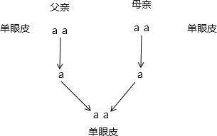 ��Ӣ�ҽ���