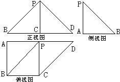 ��Ӣ�ҽ���