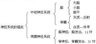 ��Ӣ�ҽ���