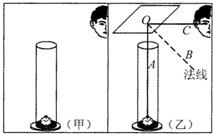 ��Ӣ�ҽ���