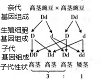 ��Ӣ�ҽ���