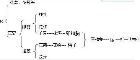 ��Ӣ�ҽ���