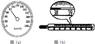 ��Ӣ�ҽ���