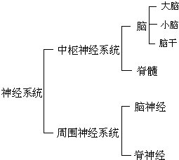 ��Ӣ�ҽ���