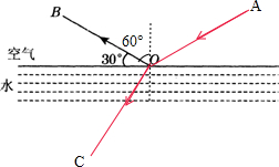 ��Ӣ�ҽ���