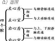 ��Ӣ�ҽ���