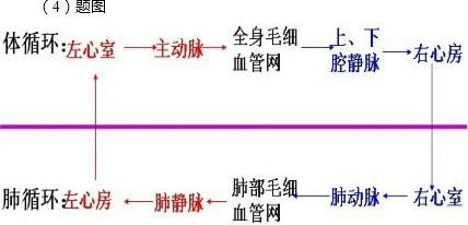 ��Ӣ�ҽ���