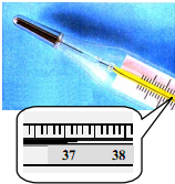 ��Ӣ�ҽ���