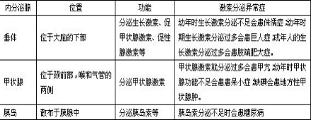 ��Ӣ�ҽ���