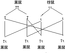 ��Ӣ�ҽ���