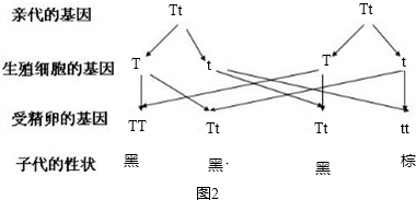 ��Ӣ�ҽ���