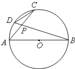 ��Ӣ�ҽ���