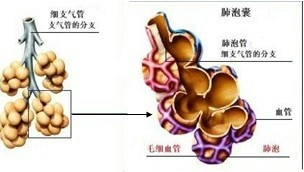 ��Ӣ�ҽ���