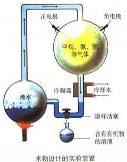 ��Ӣ�ҽ���