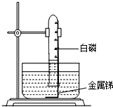 ��Ӣ�ҽ���