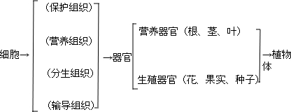 ��Ӣ�ҽ���