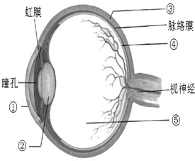 ¾«Ó¢¼Ò½ÌÍø