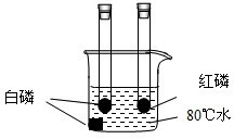 ��Ӣ�ҽ���