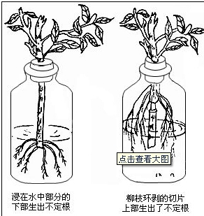 ��Ӣ�ҽ���