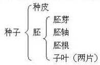 ��Ӣ�ҽ���