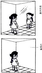 ��Ӣ�ҽ���