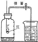 ��Ӣ�ҽ���