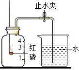 ��Ӣ�ҽ���