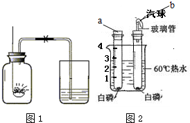 ��Ӣ�ҽ���