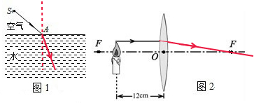 ��Ӣ�ҽ���