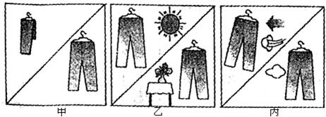 ��Ӣ�ҽ���