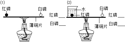 ��Ӣ�ҽ���