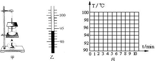 ��Ӣ�ҽ���