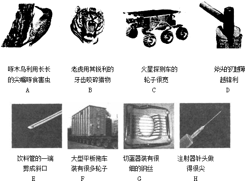 ��Ӣ�ҽ���