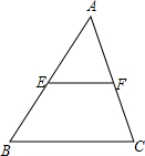 ��Ӣ�ҽ���