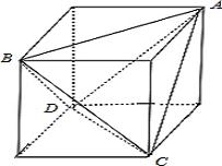 ��Ӣ�ҽ���