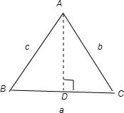 ��Ӣ�ҽ���